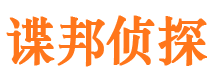 龙子湖侦探公司